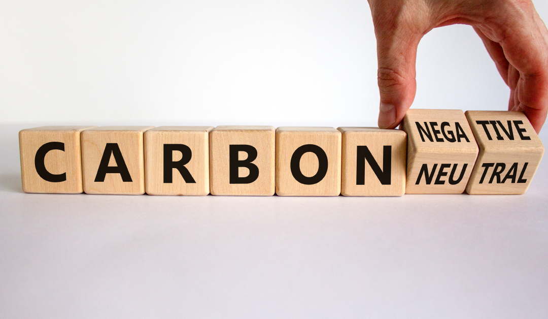 What is net-zero emission?… And How to Achieve It