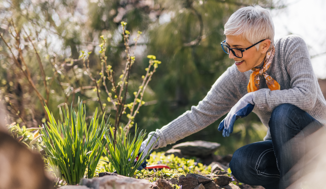 Starting a Springtime Garden in Retirement
