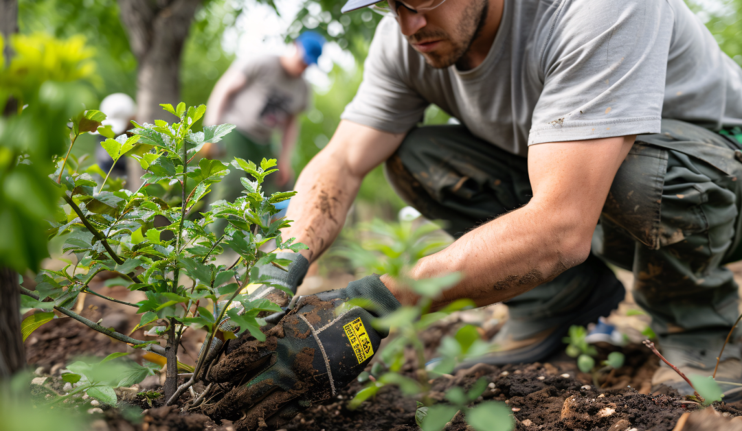The Role of Technology in Environmental Conservation