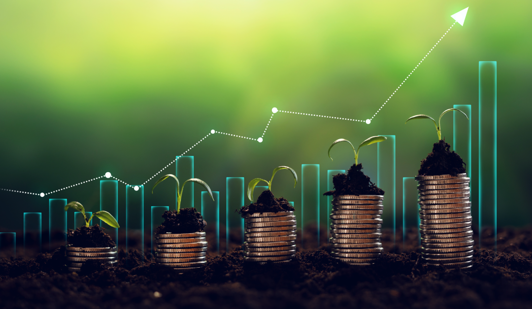 The Difference Between Active and Passive Investing